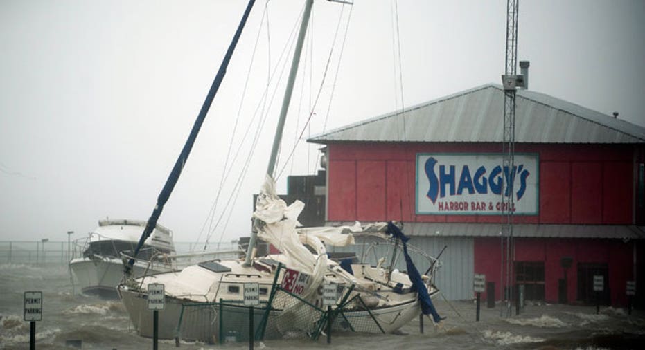 Hurricane Isaac Shaggys