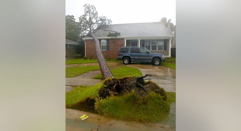 Hurricane Isaac Tree 