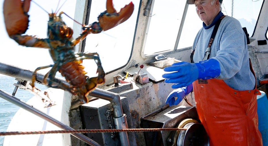 Lobster Tossed From Boat AP FBN