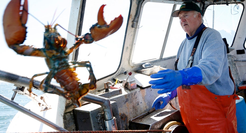 Lobster Tossed From Boat AP FBN