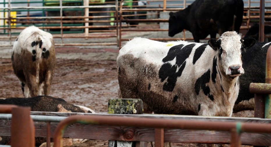 USA-CALIFORNIA/BEEF