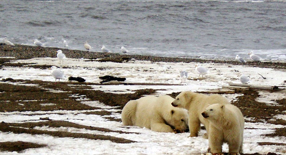 Artic Drilling  Reuters/U.S. Fish and Wildlife Service