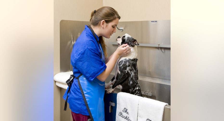 Pet Bathing Best, PF Slideshow