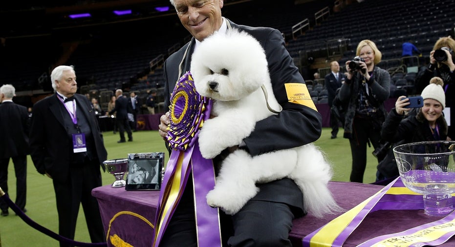 USA-DOGSHOW/