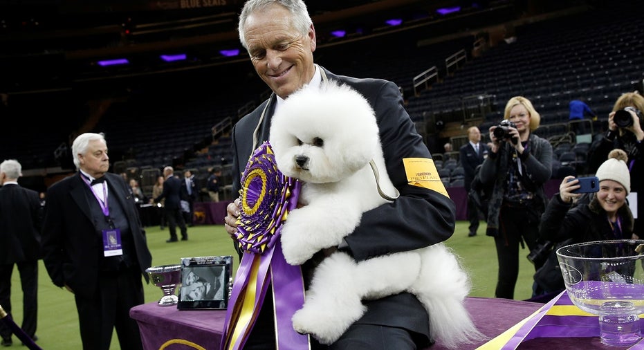 USA-DOGSHOW/