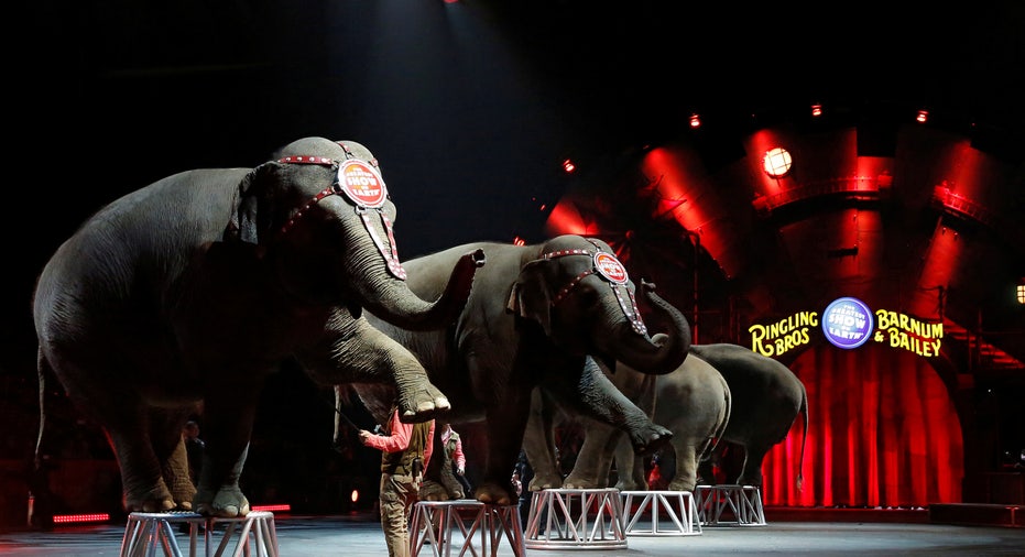 USA-CIRCUS/ELEPHANTS