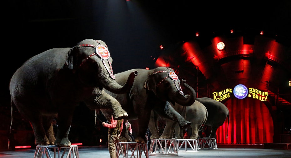 USA-CIRCUS/ELEPHANTS