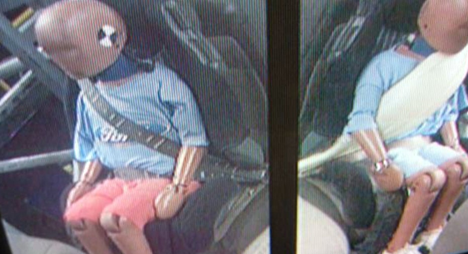 Seatbelt Demo