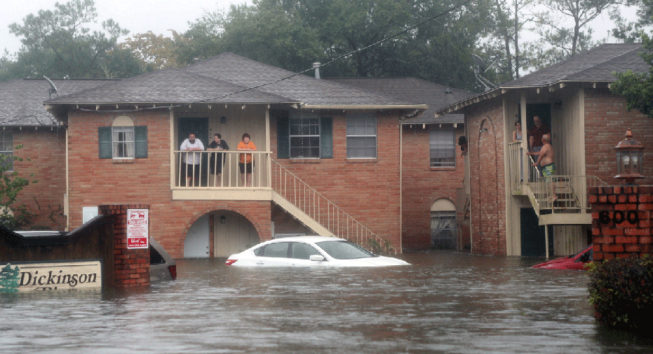 harvey ap fbn