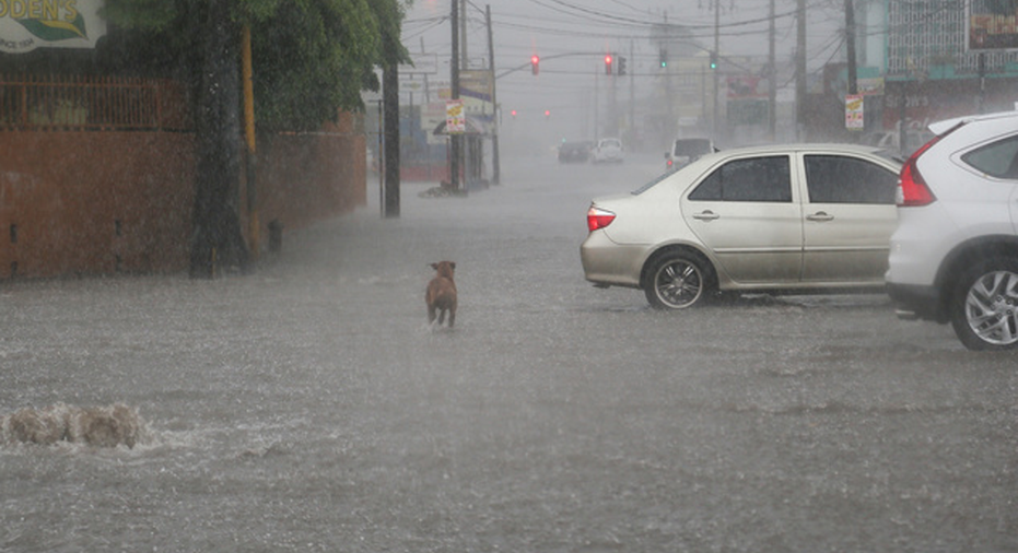 Matthew Jamaica Reuters