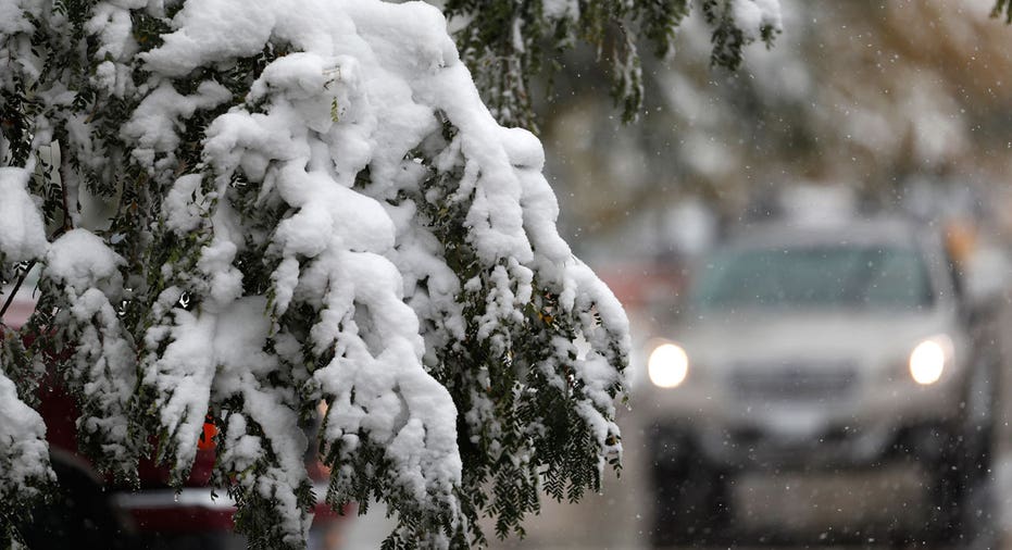 Snow on tree branch, winter, snowstorm AP FBN