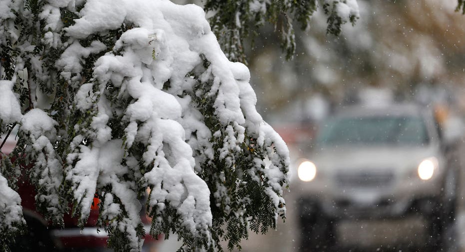 Snow on tree branch, winter, snowstorm AP FBN