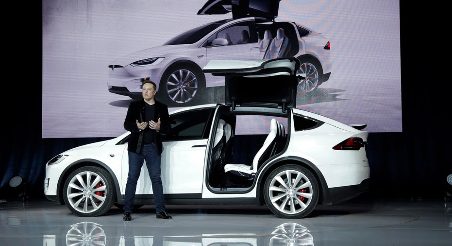 Tesla Model X and CEO Elon Musk FBN