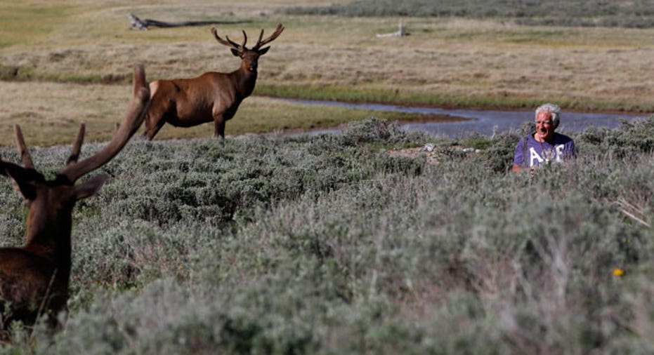 Wyoming, Hayden Valley, retirement,  Yellowstone National Park