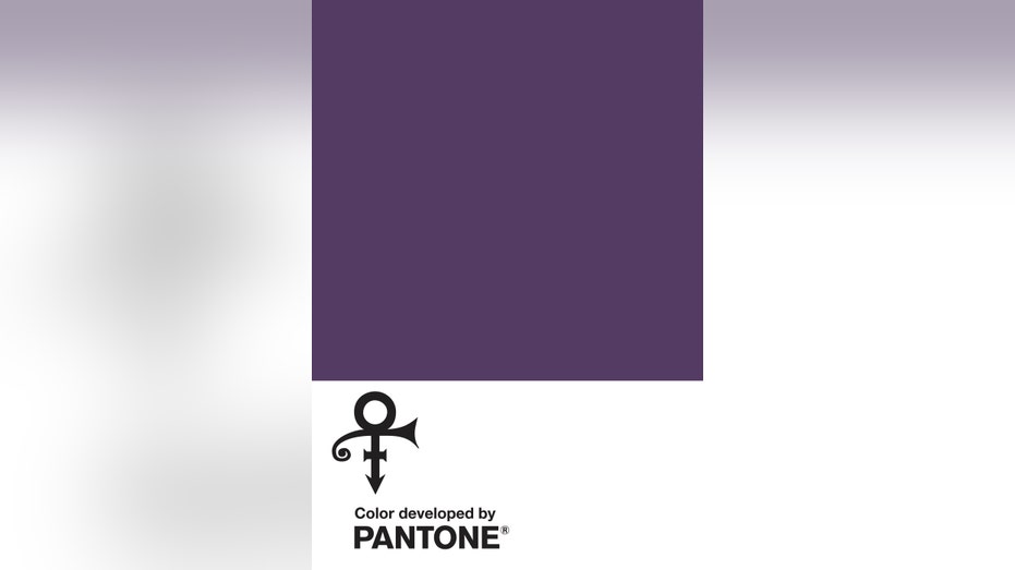 Prince Pantone Color Purple AP FBN