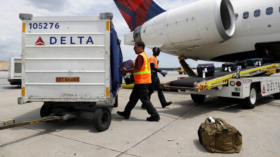 delta air baggage