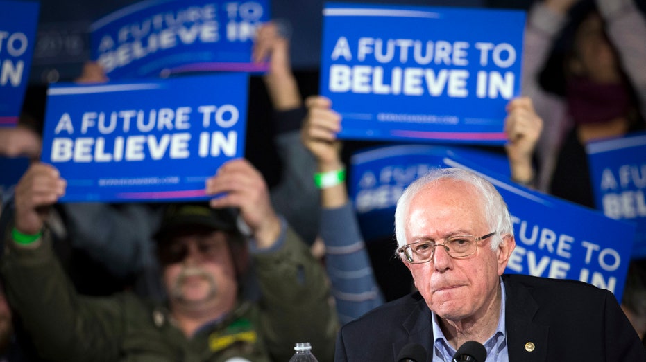 Bernie Sanders Crowd