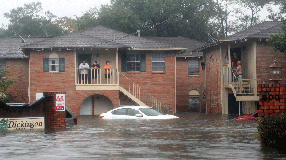 harvey ap fbn