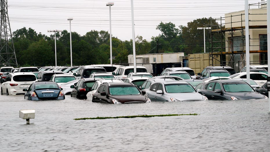 Hurricane Harvey flooded cars at dealership FBN