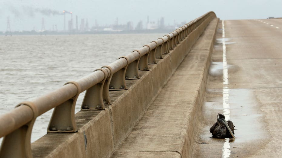 Hurricane Harvey bridge with refinery in background AP FBN