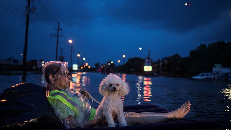 Woman Poodle Reuters Adrees Latif