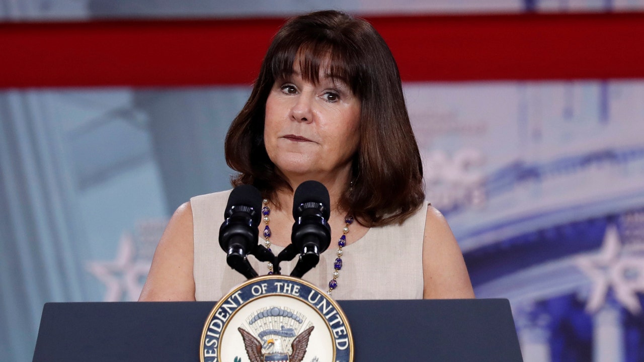 Karen Pence And Daughter S New Children S Book Amazon
