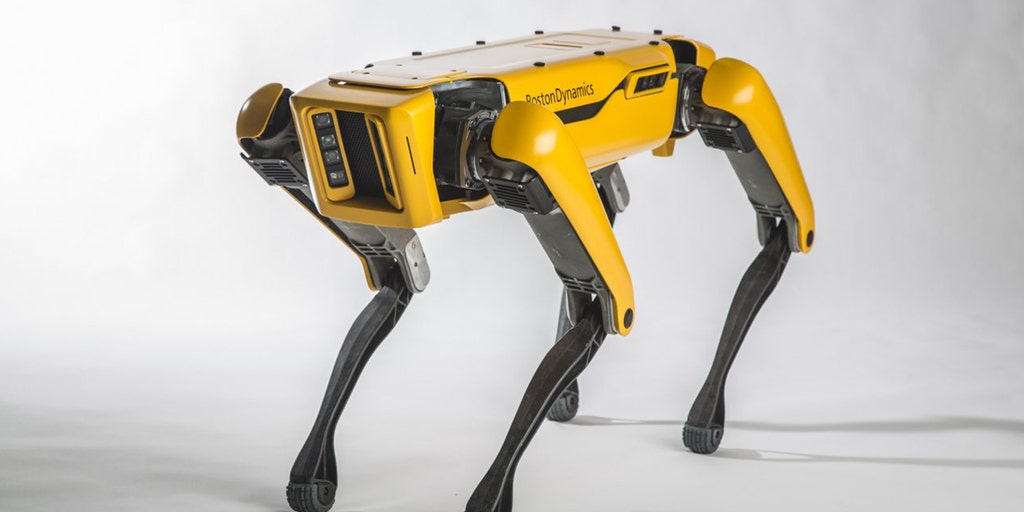 amazon robot dogs