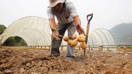 Trump on track to win farmers' votes despite trade war, pandemic challenges