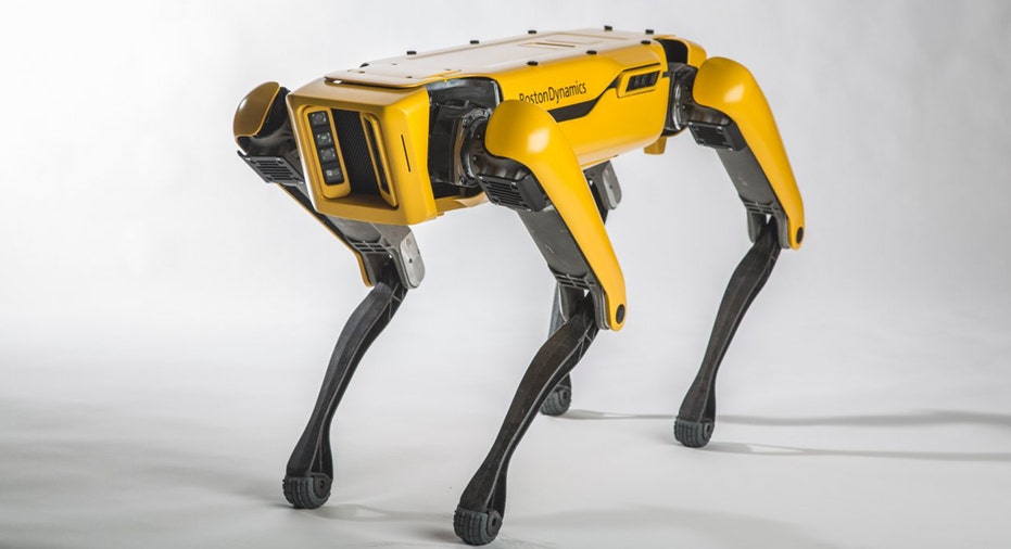 amazon robot dog