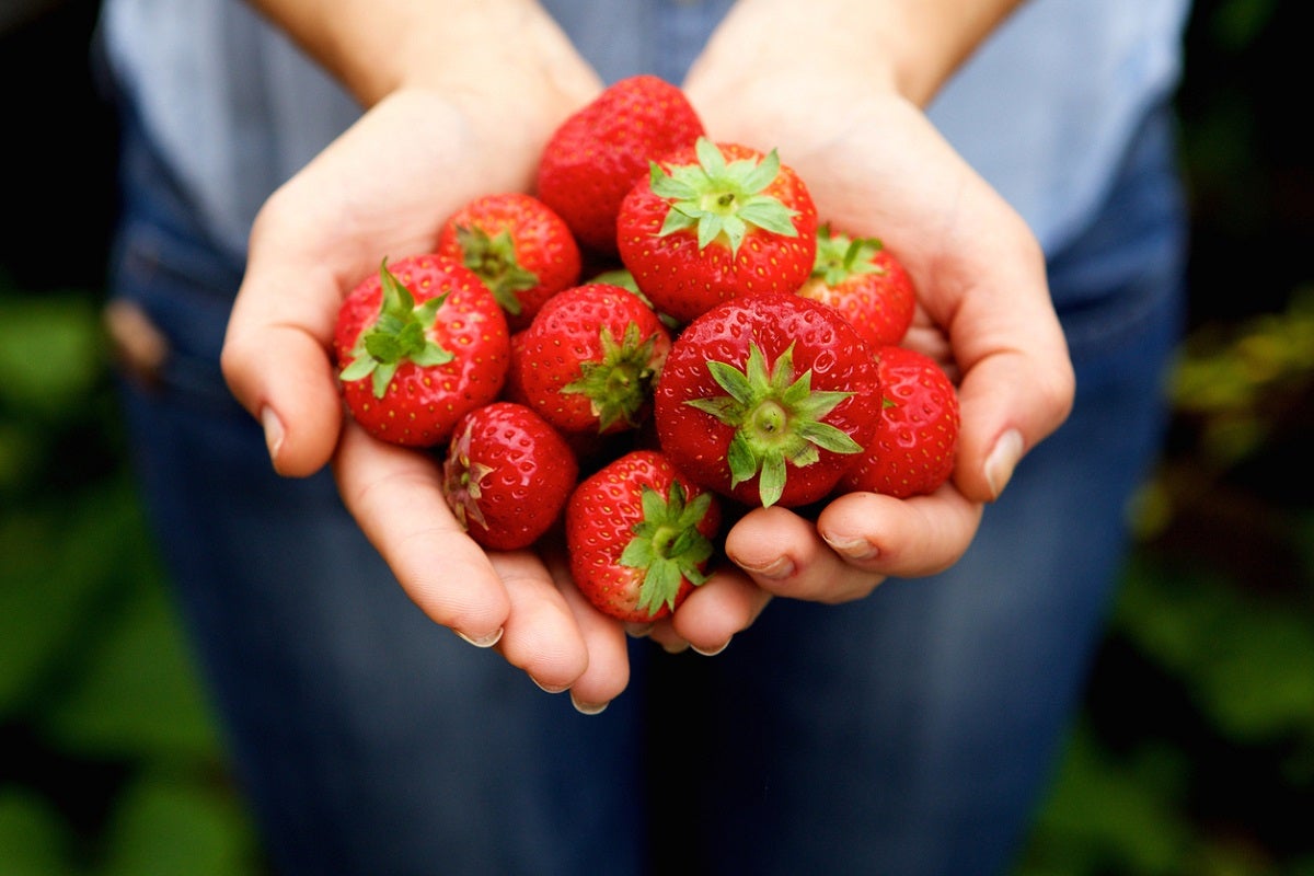 Strawberries top ‘Dirty Dozen’ list of most contaminated three years in