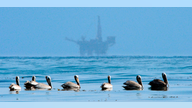 California offshore oil firms hit with nearly 400 violations