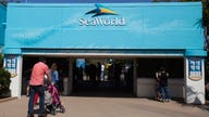 Seaworld CEO beaches himself after 7 months