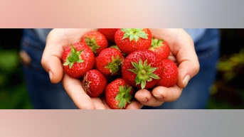 These fruits, vegetables have most pesticide contamination among produce, study finds