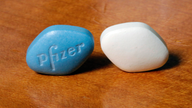 Pfizer's 1Q profit up 14 pct., sales just miss expectations