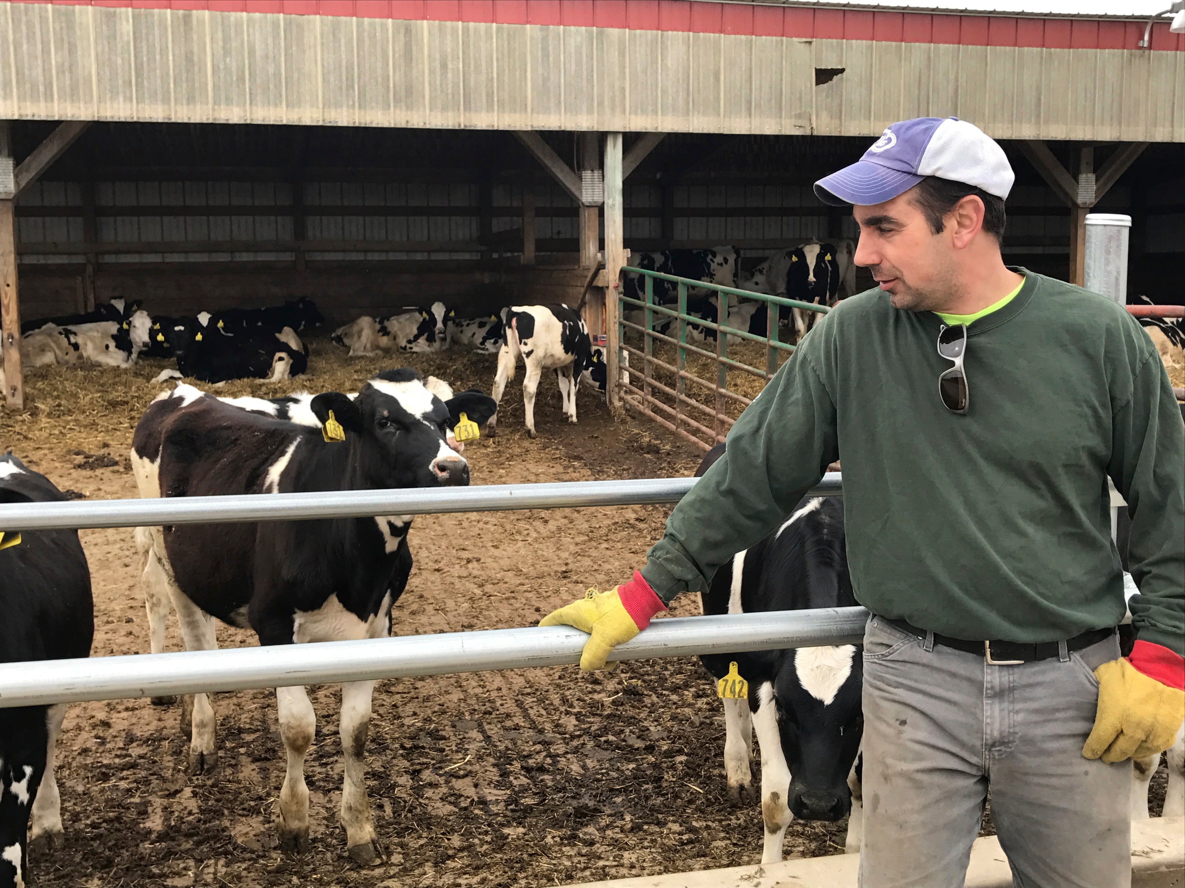 Wisconsin dairy farmers face spoiling market, tight deadline Fox Business