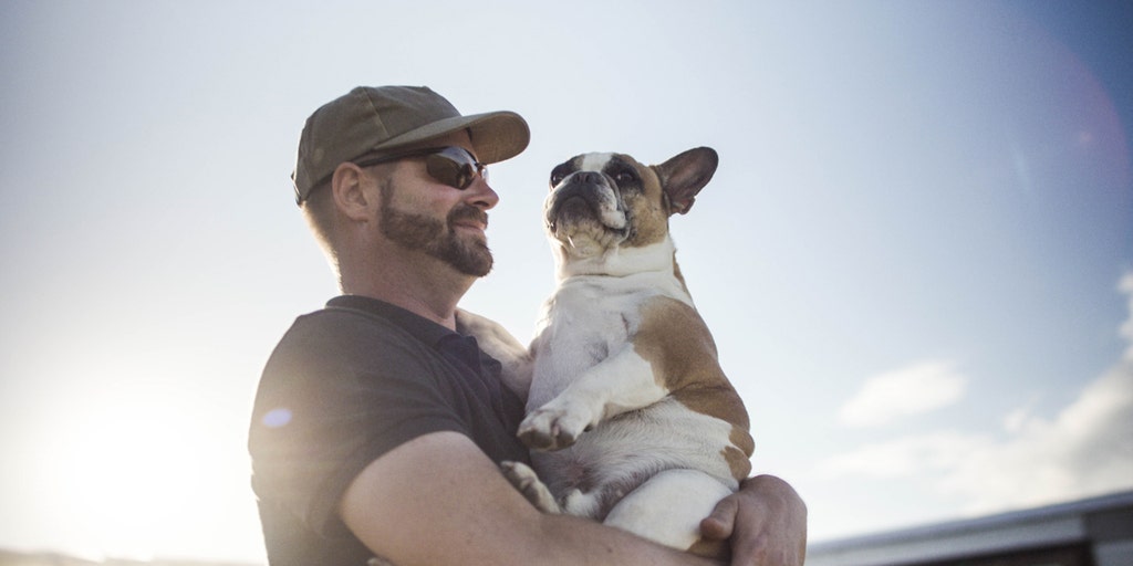 scott whipple canidae