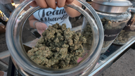 Pot businesses urge California to delay strict testing rules