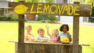 Colorado to stop hassling kids over lemonade stands in time for summer