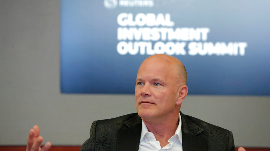 Mike Novogratz RTR FBN