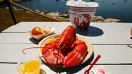US quick-pitch lobster deal rejected by European Union