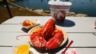 All shell, no shock: Lobster prices strong, season picks up
