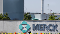 Merck beats views on sales jumps for cancer drugs, vaccines