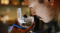 1st year of Nevada marijuana sales smokes expectations