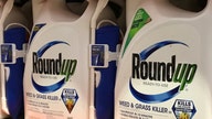 Bayer takes legal battle over Roundup cancer claims to US Supreme Court