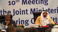 OPEC, allies agree not to further increase oil production