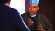 OPEC chief: Cartel must stay together as US sanctions Iran
