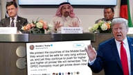 Trump bullies OPEC...again