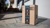 Amazon free shipping promotion could cost company big bucks: Moody's