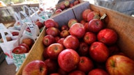 A few bad apples, but mostly good ones in New England's crop