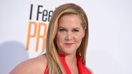 How much does Amy Schumer earn?